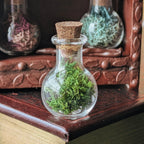 Miniature Green Grass Dollhouse Potion Bottles-Round– 1:12 Miniature Apothecary Jars