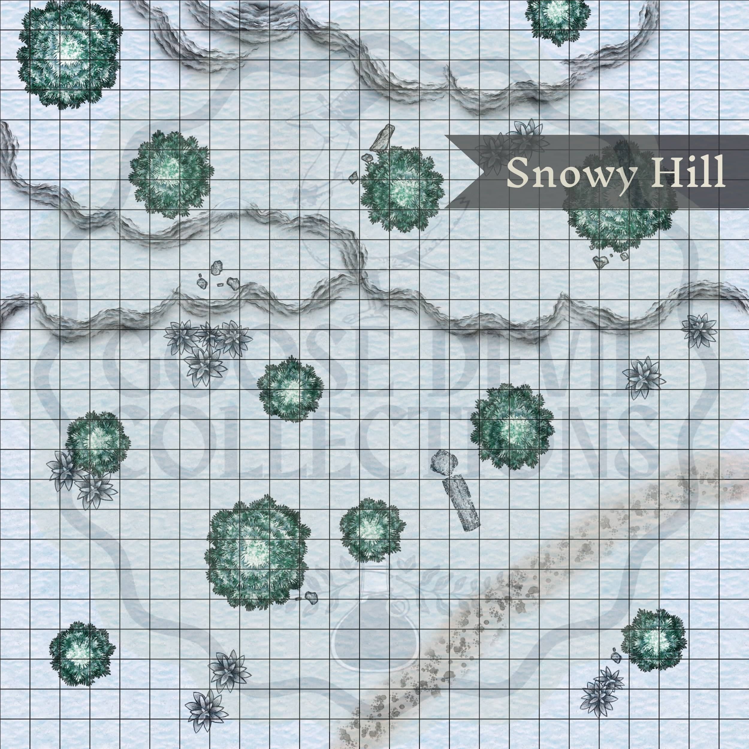 Digital Maps Snow Tundra DnD Battle Map