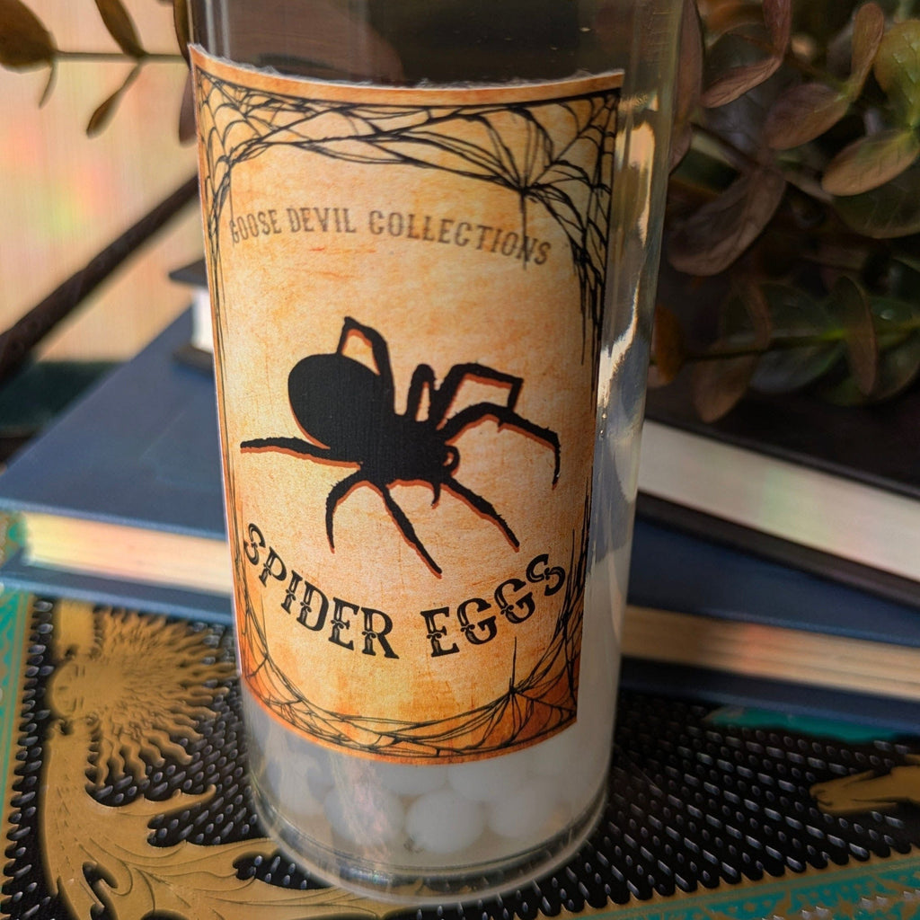 Spider Eggs Apothecary Jar